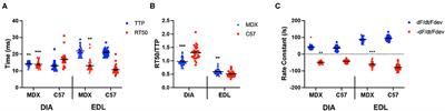 Corrigendum: Muscle Twitch Kinetics Are Dependent on Muscle Group, Disease State, and Age in Duchenne Muscular Dystrophy Mouse Models